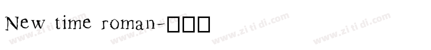 New time roman字体转换
